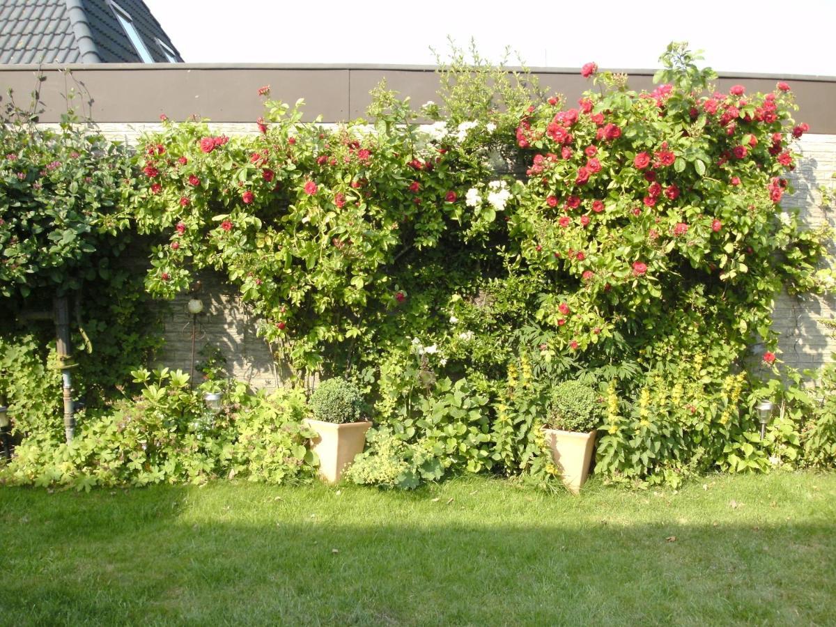 Appartamento Haus Mit Lilie Und Rose Westerdeichstrich Esterno foto